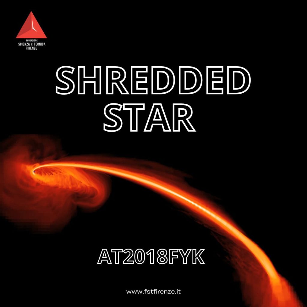 Shredded star AT2018fyk